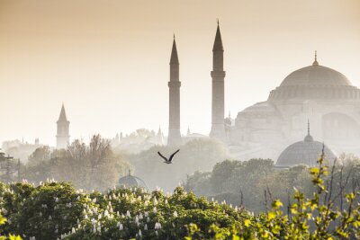 Papier peint  La mosquée bleue d'Istanbul au petit matin