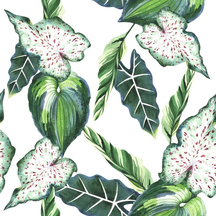 Papier peint  La nature à Hawaï