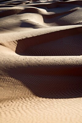 La nature du désert tunisien