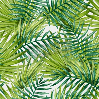 Papier peint  La nature en feuilles