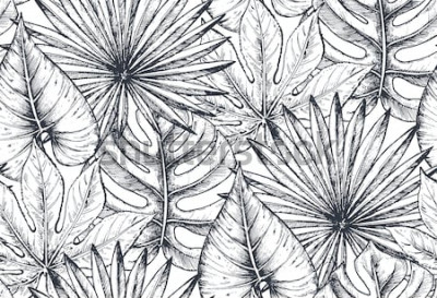 Papier peint  La nature en noir et blanc