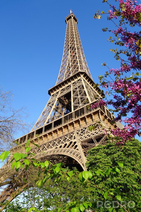 Papier peint  La nature les fleurs et la Tour Eiffel