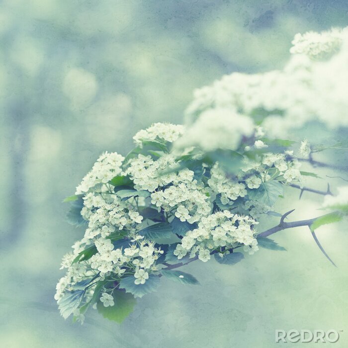 Papier peint  La nature sur un thème vintage