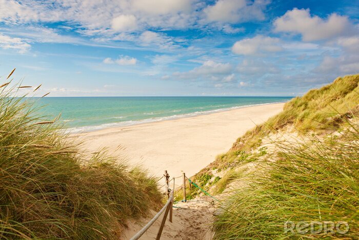 Papier peint  La plage de dunes de sable et la mer