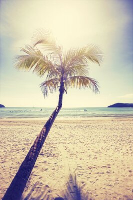 La plage des palmiers et la mer