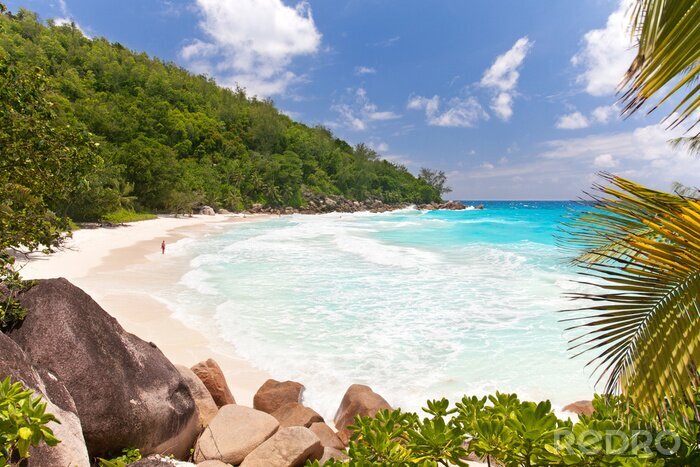 Papier peint  La plage du Paradis aux Seychelles
