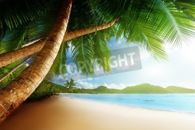 Papier peint  La plage et les tropiques aux Seychelles