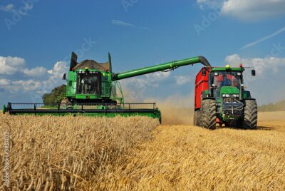 La récolte de céréales