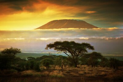 Papier peint  La savane et le Kilimandjaro parmi les nuages