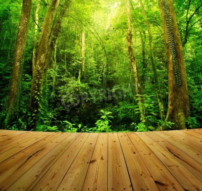 Papier peint  La terrasse et les tropiques