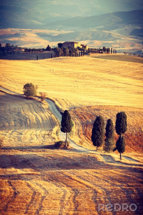 Papier peint  La Toscane au coucher du soleil