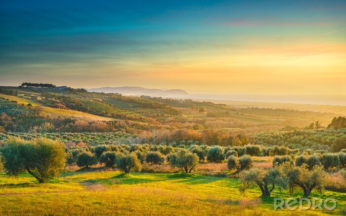 Papier peint  La Toscane et les champs au coucher du soleil