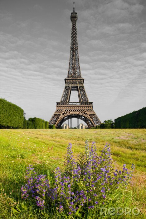 Papier peint  la Tour Eiffel