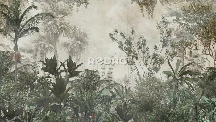 Papier peint  La végétation dense de la jungle équatoriale