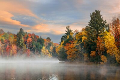 Lac et forêt d'automne