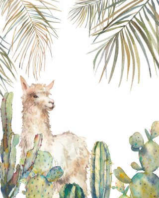 Lama parmi les palmiers et les cactus