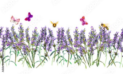 Papier peint  Lavande avec papillons et abeilles sur fond blanc