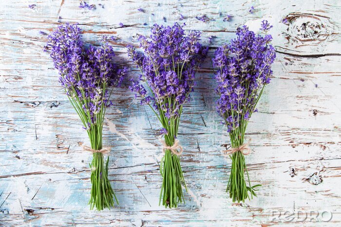 Papier peint  Lavande fraîche sur bois