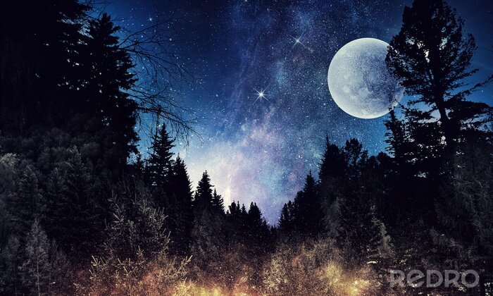 Papier peint  Le ciel étoilé et la lune. Médias mélangés