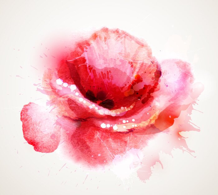 Papier peint  Le coquelicot rouge à fleurs