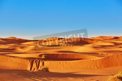 Papier peint  Le désert du Sahara et le ciel bleu