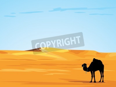 Papier peint  Le désert et le chameau graphique