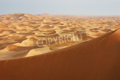 Papier peint  Le désert peint