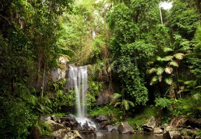 Papier peint  Le paysage de la forêt vierge et la chute d'eau