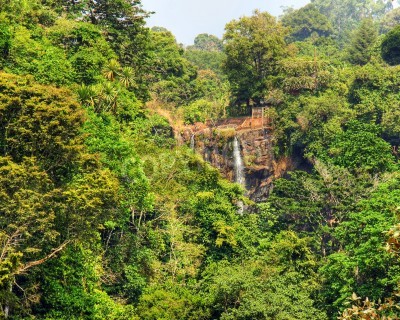 Papier peint  Le paysage de la jungle avec une chute d'eau