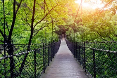 Papier peint  Le pont d'observation dans la forêt vierge