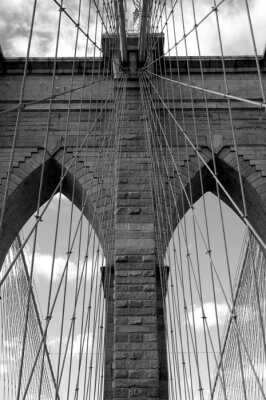 Le pont de Brooklyn vu par une grenouille