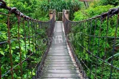 Papier peint  Le pont suspendu en bois de la jungle