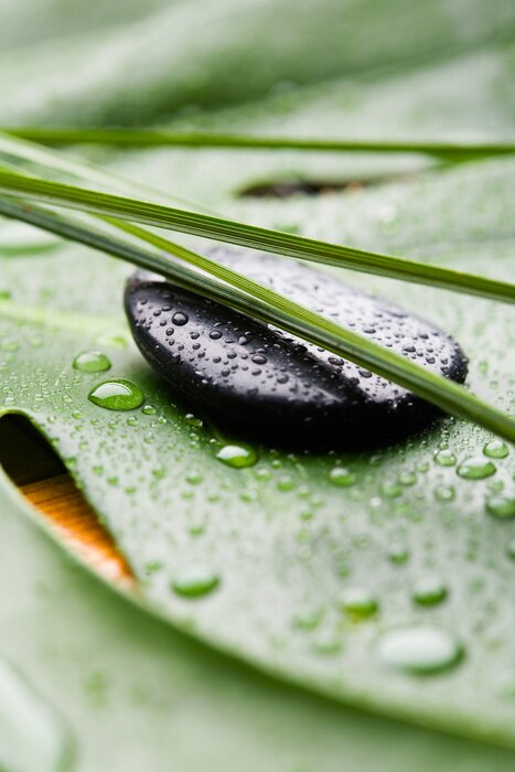 Papier peint  Le pouvoir de guérison de la nature