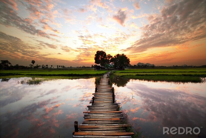 Papier peint  Le thème de la nature et de la route sur fond d'eau