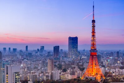 Le Tour de Tokyo avec la ville en arrière-plan