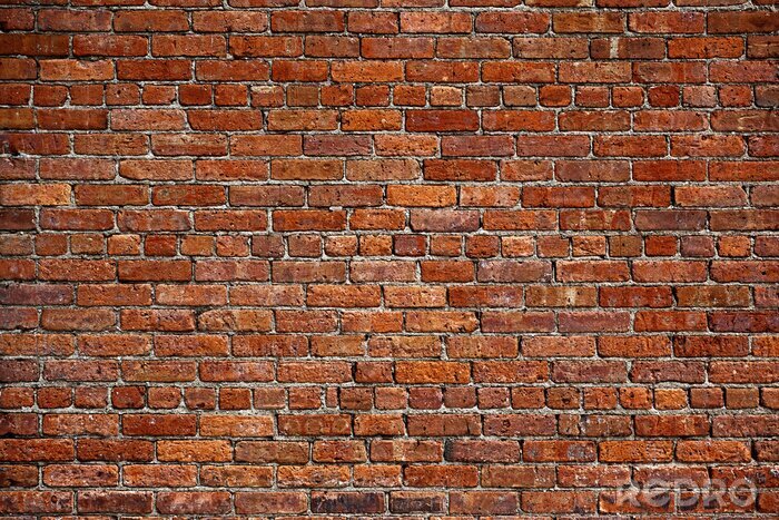 Papier peint  Le vieux mur de brique rouge