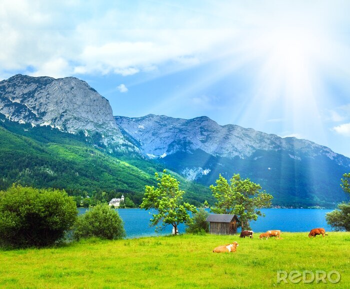 Papier peint  Les Alpes un jour d'été