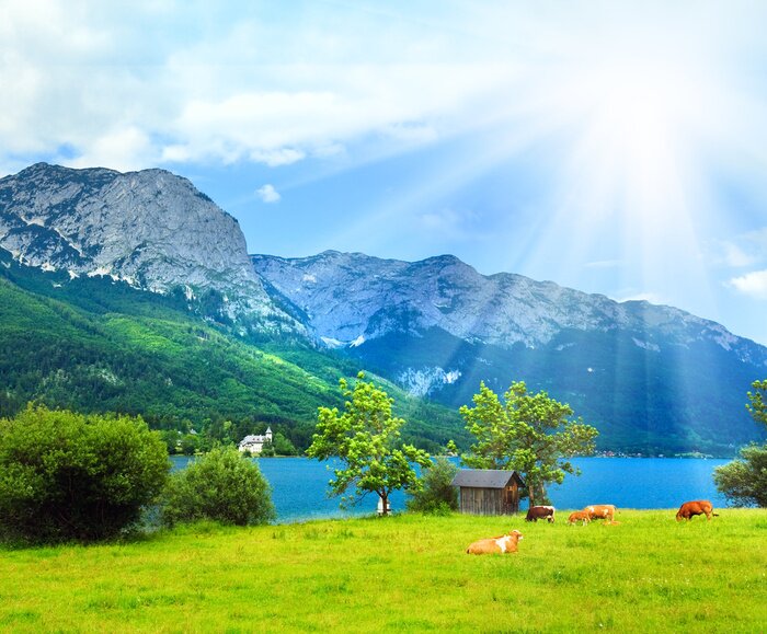 Papier peint  Les Alpes un jour d'été