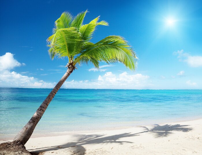 Papier peint  Les Caraïbes et les tropiques