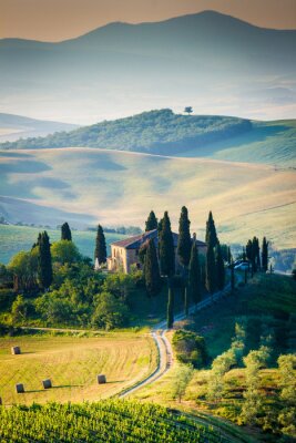 Les collines de Toscane le matin