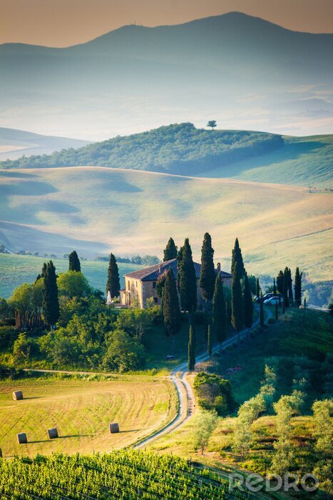 Papier peint  Les collines de Toscane le matin