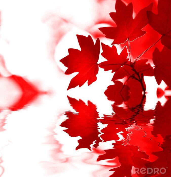 Papier peint  Les feuilles rouges comme la nature