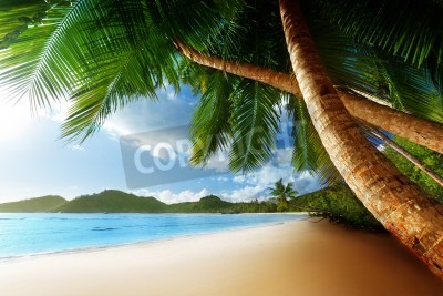 Papier peint  Les Seychelles et les tropiques