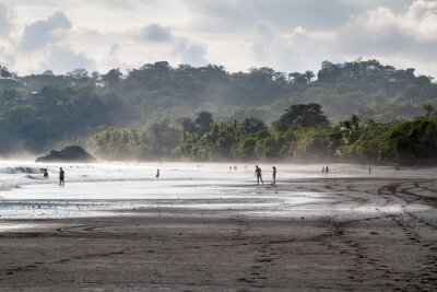 Papier peint  Les tropiques au Costa Rica