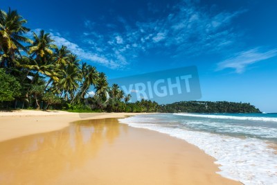 Papier peint  Les tropiques au Sri Lanka