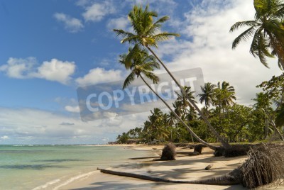 Papier peint  Les tropiques en République dominicaine