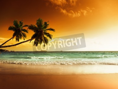 Papier peint  Les tropiques et la mer des Caraïbes