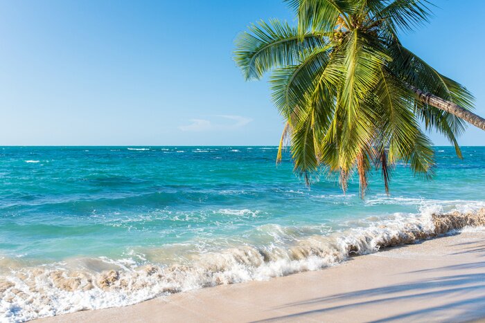 Papier peint  Les tropiques et les Caraïbes