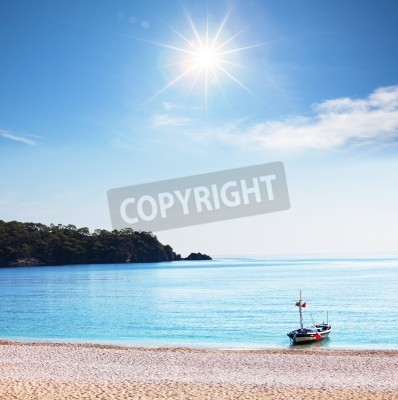 Papier peint  Les tropiques turcs