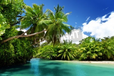 Papier peint  Les tropiques un jour d'été